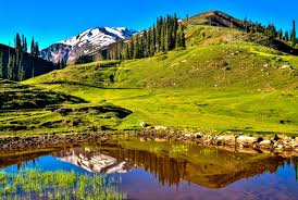 Siri Paye Meadows